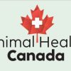 Animal Health Canada: A bold initiative to improve Canada’s resiliency to contagious animal diseases