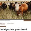 ABP Daily talks Hybrid Vigour with Gentec’s John Basarab